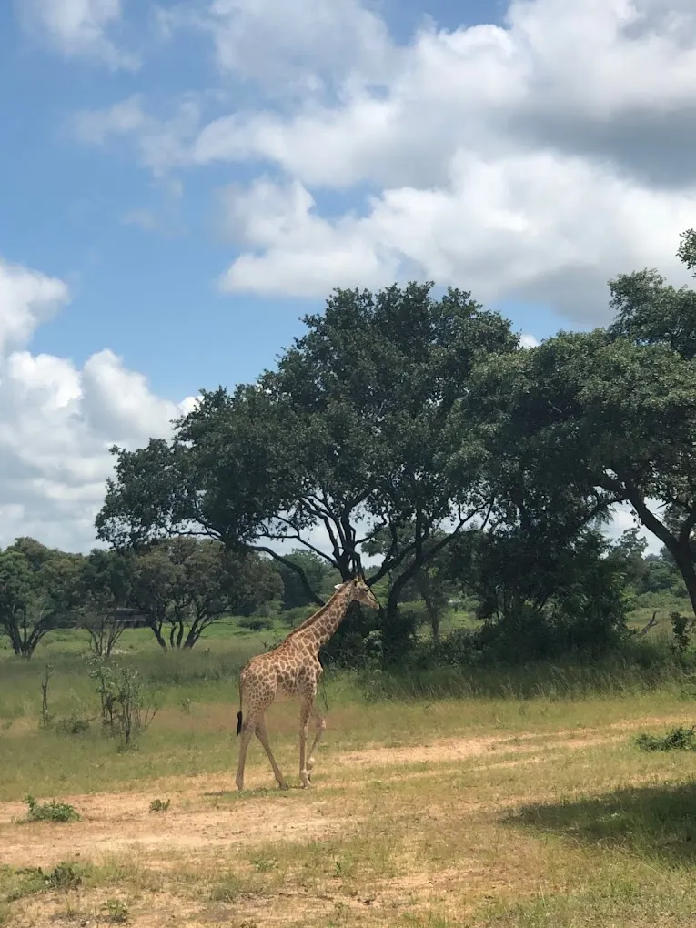 Mukuvisi Woodlands, Harare