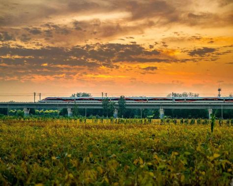 Shanghai-Hangzhou in treno: guida all'alta velocità