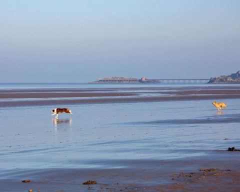 Weston-super-Mare Beach