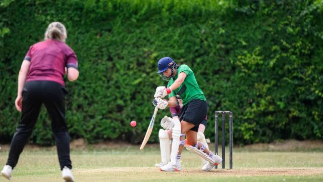 Cricket