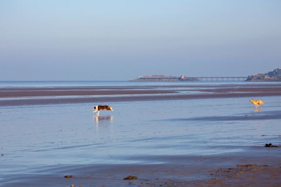 Weston-Super-Mare (Any)