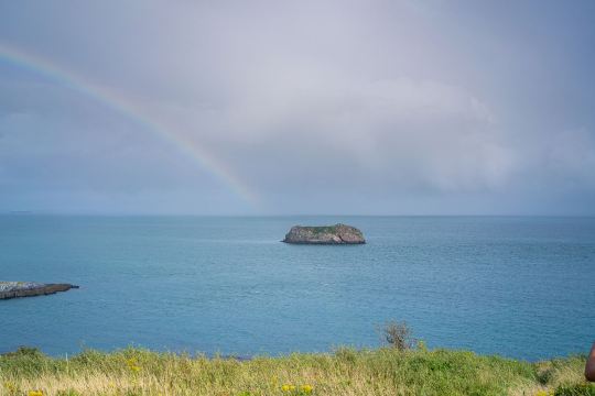 Torquay (Any)
