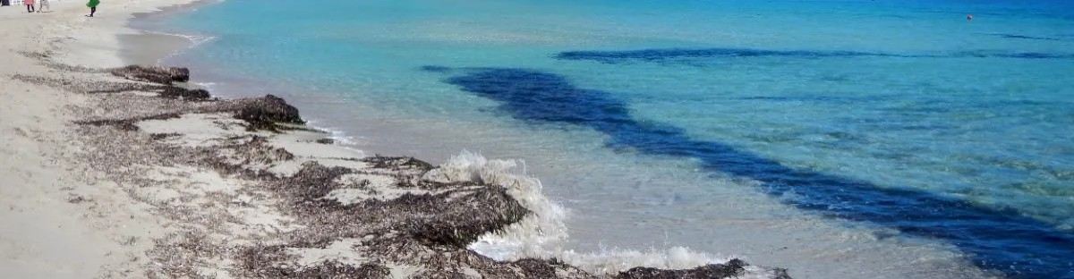 Il mare e le spiagge top della Calabria