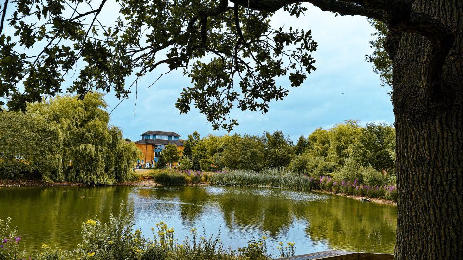 University of Warwick