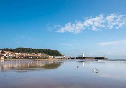 Scarborough (Any)