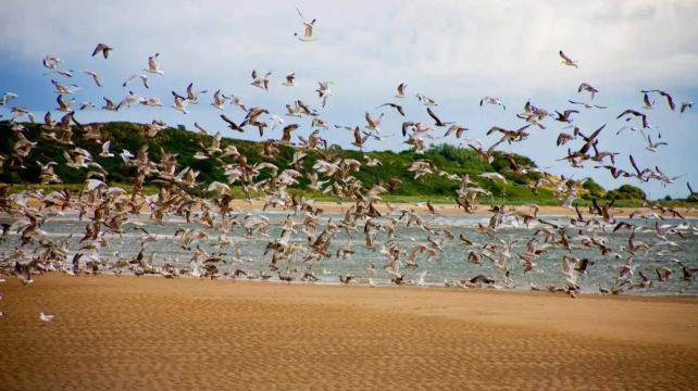 Alnmouth Beach
