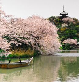 Shin-Yokohama