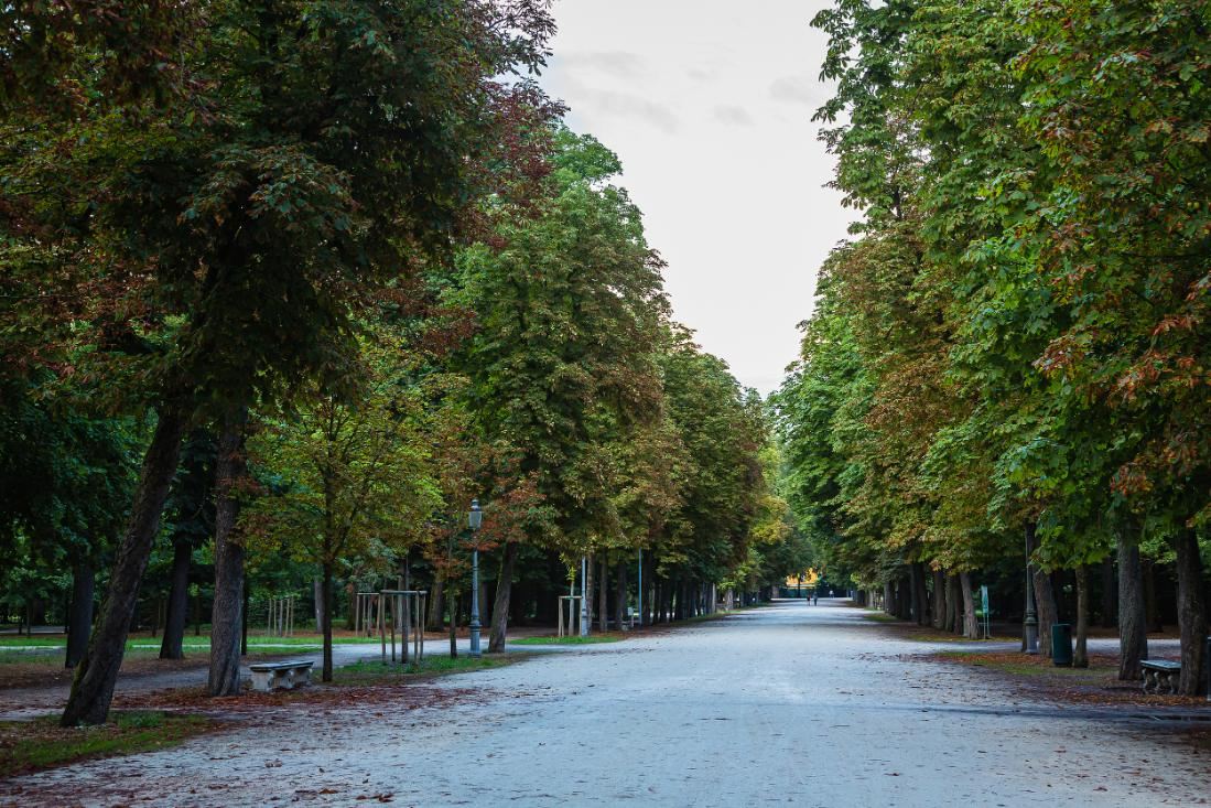 Parco Ducale