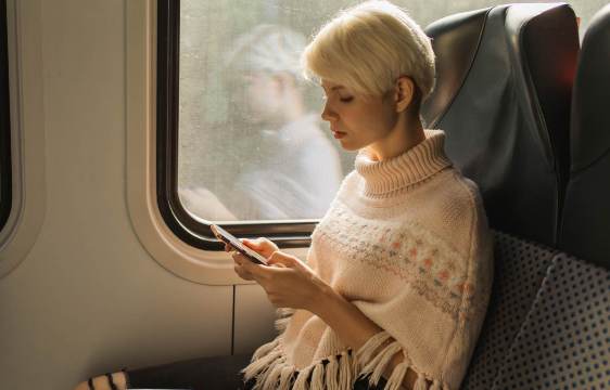 k.train.company.avlo-ouigo.differences.pets.title