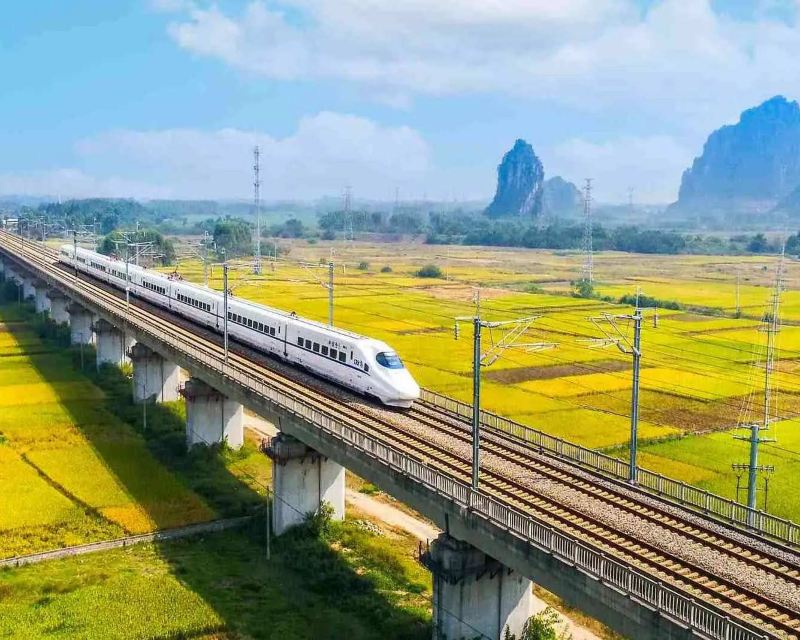 Visita Chengdu: Pandas, gastronomía y mucho más