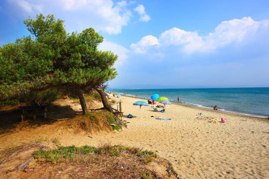Spiaggia del Parco della Sterpaia