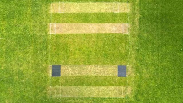 Cricket