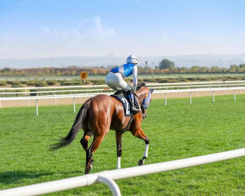 Trains to the Epsom Derby 2026: Nearest station, popular routes & event info