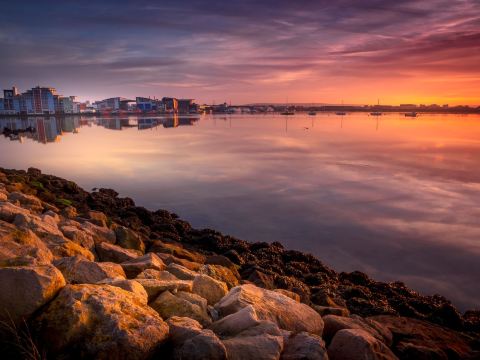 Poole (Any)