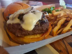 Twisted Root