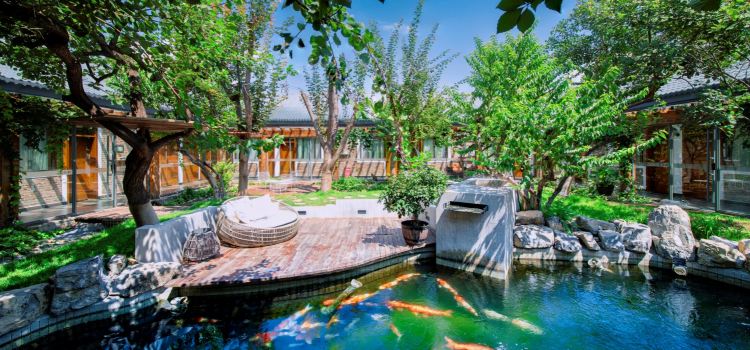 Cat's Home Fish Restaurant・Reservoir Fish Theme Restaurant (Yunshui Huaxi Branch)