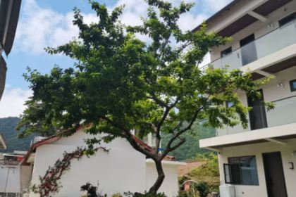 秦岭北宿·餐厅