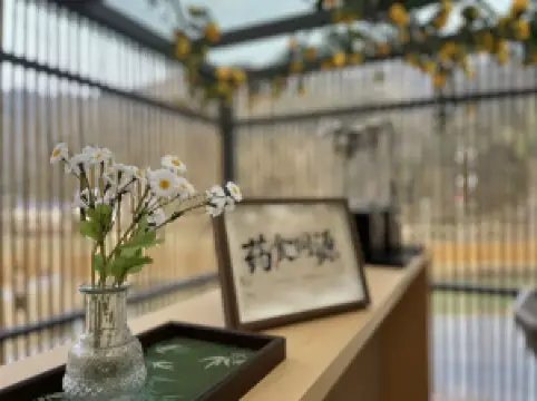 崇義九如·澗汀民宿·療愈小院