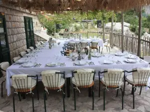 Gastro Vista