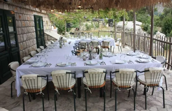 Gastro Vista