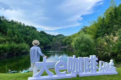 黄山水云间香榧谷酒店·大é 咖啡(Da é coffee)