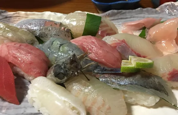 Maguro Cuisine Hotojima