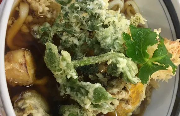 Homemade Soba & Udon Hida