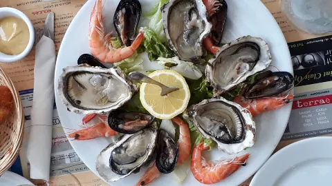 Brasserie LA RESSOURCE in Sete