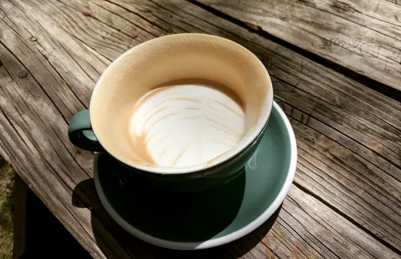 White Rhino Coffee