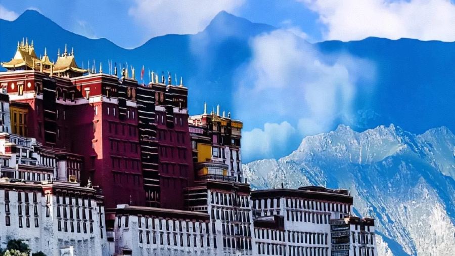 拉萨雪莲花观景酒店·雪莲花观景藏餐厅