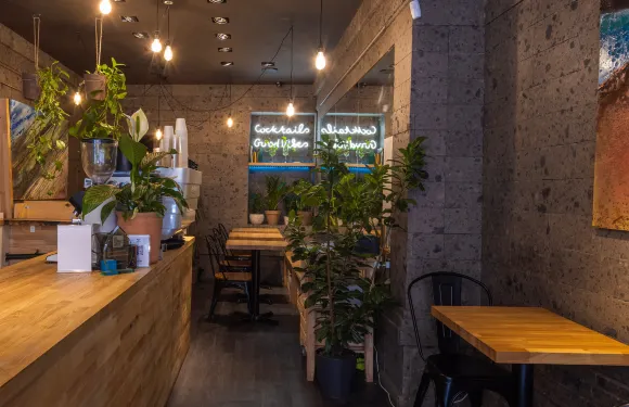 Tintico Soho