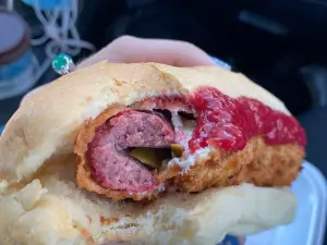 Hungry Dog