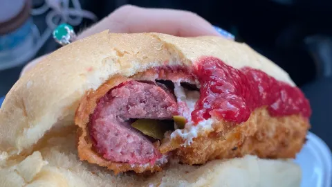 Hungry Dog in Mitchell