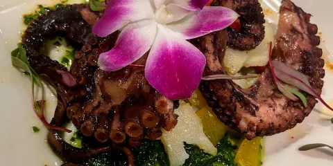Tapa the World