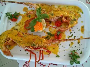 Cooperativa Pescatori Stella Maris