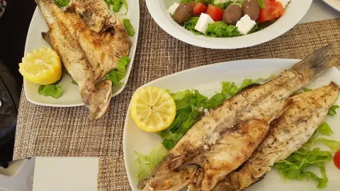 REDinBULL in Shkoder