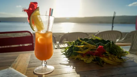 The Beach Bar Vanuatu in วานูอาตู