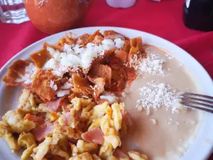 Los Encinos