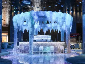 海南清水湾威珀斯酒店·冰吧
