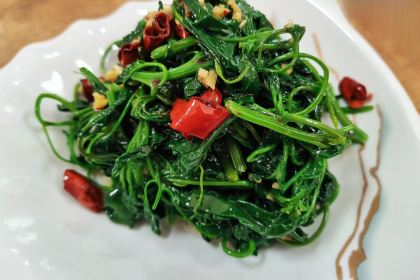 秦岭北宿·餐厅