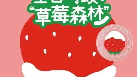 全日可颂(CBD店) in Suzhou