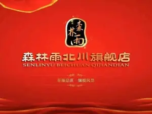 SEN LIN YU BEI CHUAN QI JIAN DIAN