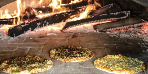 Mapro Garden Lonavala