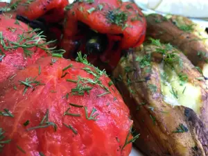 Barbecue Shashlychnaya