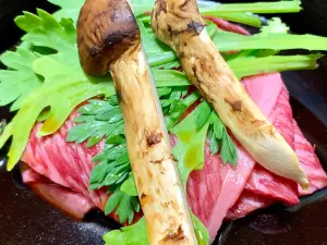 Four Seasons Cusine Shoraitei