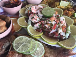 EL Pejelagarto de Bacalar