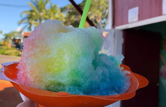 Malia's Hawaiian Shave Ice