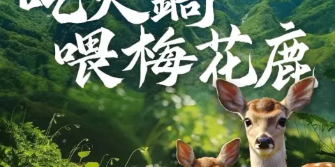 唐潮火鍋（太白山店）