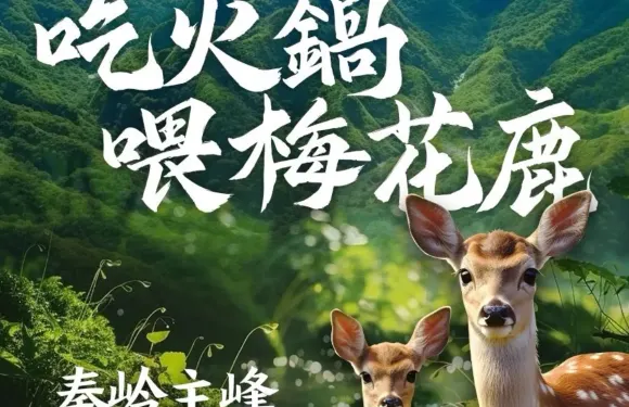 唐潮火鍋（太白山店）