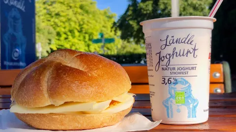 Milchpilz in Bregenz